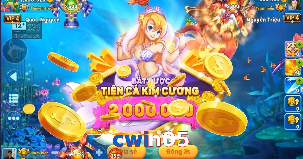 cwin05