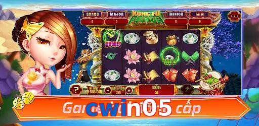 cwin05