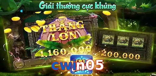 cwin05